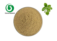 Natural Origanum Vulgare Herb Extract Powder For Health Care TLC