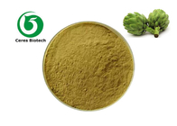 CAS 84012-14-6 Natural Cynara Leaf Extract Powder