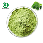 100% Water Soluble Dried Vegetable Powder Food Grade Wheatgrass Powder