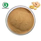 Raw Material Instant Ginger Powder Organic Ginger Extract Powder Health Spices