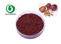 Organic Grape Seed Extract Powder OPC Proanthocyanidin For Antioxidant Protection
