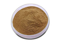 Health Product Organic Ginkgo Biloba Extract 24 6 Flavone Lactones Anti - Wrinkle