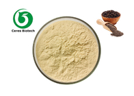 Natural Food Additives Black Pepper Piperine Extract 98%