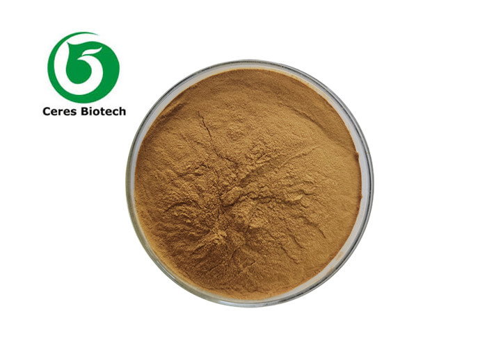 Natural 20% Polyphenols Phyllanthus Emblica Extract Powder