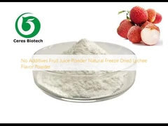 Pas d' additifs Poudre de jus de fruits congélation naturelle poudre de lychee séchée