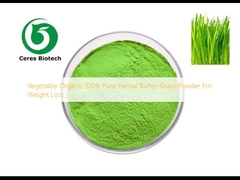 Poudre de fines herbes 100% pure organique végétale d'herbe d'orge pour la perte de poids