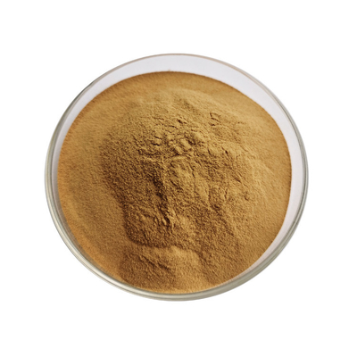Highly Effective Rhubarb Root Extract Chrysophanol 1%  For Improved Intestinal Health And Regularity