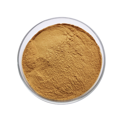 100 Mesh Hawthorn Juice Powder Herbal Extract Powder For Juice