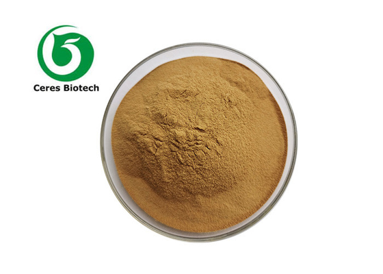 High Quality Hops Flower Extract 8-Prenylnaringenin (8-PN) 0.1% Xanthohumol 1% Powder