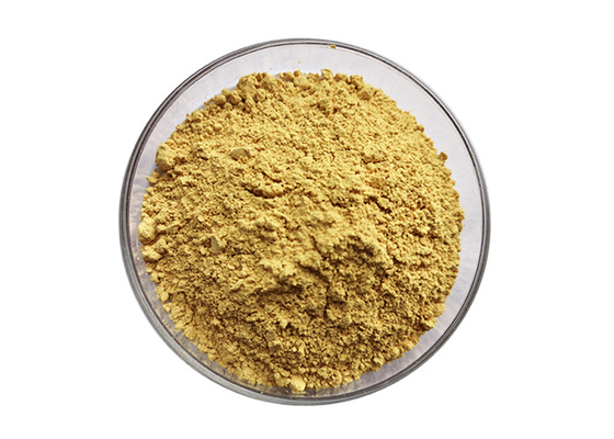 Food Grade Cynomorii Extract 98% Songaria Cynomorium Alkali with High Purity COA