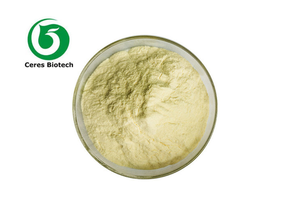 High Purity Luteolin 98% Extract Powder for Immune Support