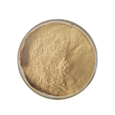 High-Quality Amino Acid Powder Nutritional Supplement with 80 Mesh Size 6% Max Moisture and 25CFU/g Max Yeast for Health Care