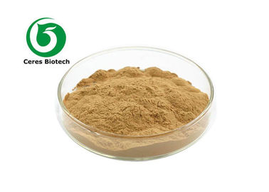 Field Horsetail Extract Herbal Extract Powder for Health Products with Excellent Medicinal Effects