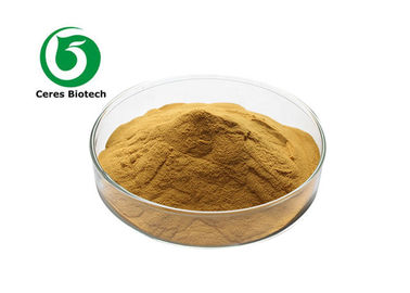 Pure and Natural Hericium Erinaceus Lion'S Mane Extract Powder for Cognitive Function