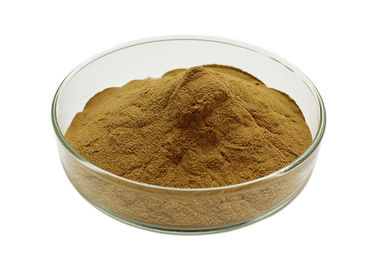 Pure and Natural Hericium Erinaceus Lion'S Mane Extract Powder for Cognitive Function