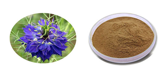 Organic Nigella Sativa Extract Powder for Improved Visual Performance and Gastric Ulcer Relief 80mesh Particle Size