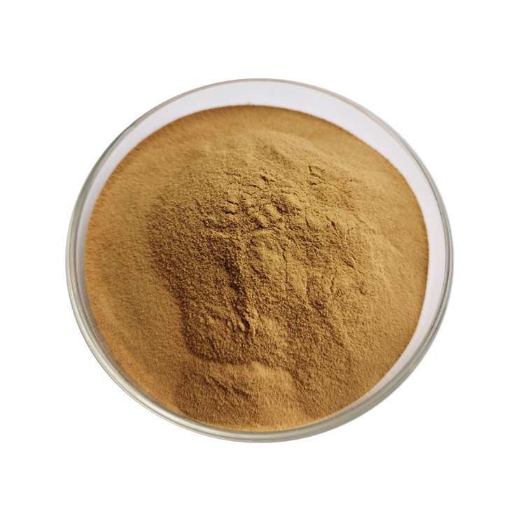Highly Effective Rhubarb Root Extract Chrysophanol 1%  For Improved Intestinal Health And Regularity