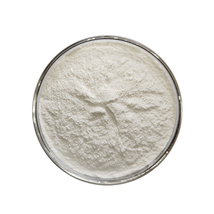 Premium American Ginseng Extract Powder with 98% Protopanaxatriol, 33 Servings Per Container, and 2 Years Lifetime