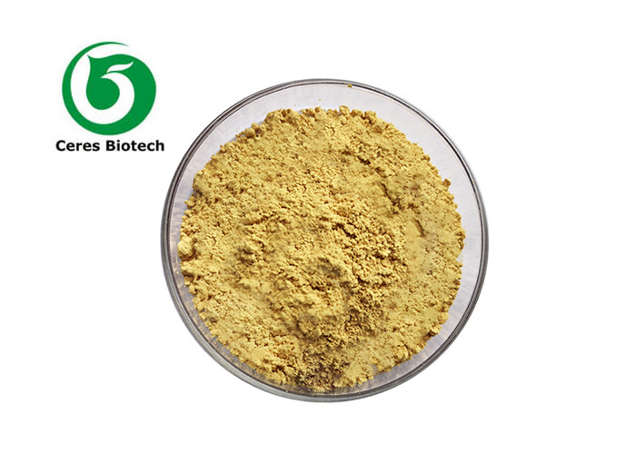 Food Grade Cynomorii Extract 98% Songaria Cynomorium Alkali with High Purity COA