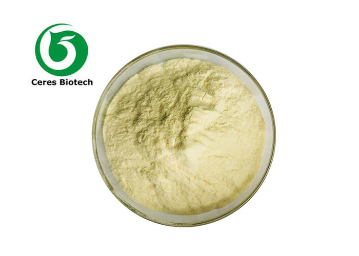 High Purity Luteolin 98% Extract Powder for Immune Support