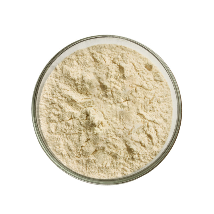 Premium Ginseng Extract Powder with 98% (20S)-Protopanaxatriol, 2 Years Lifetime, and 100g Net Weight from American Ginseng Root