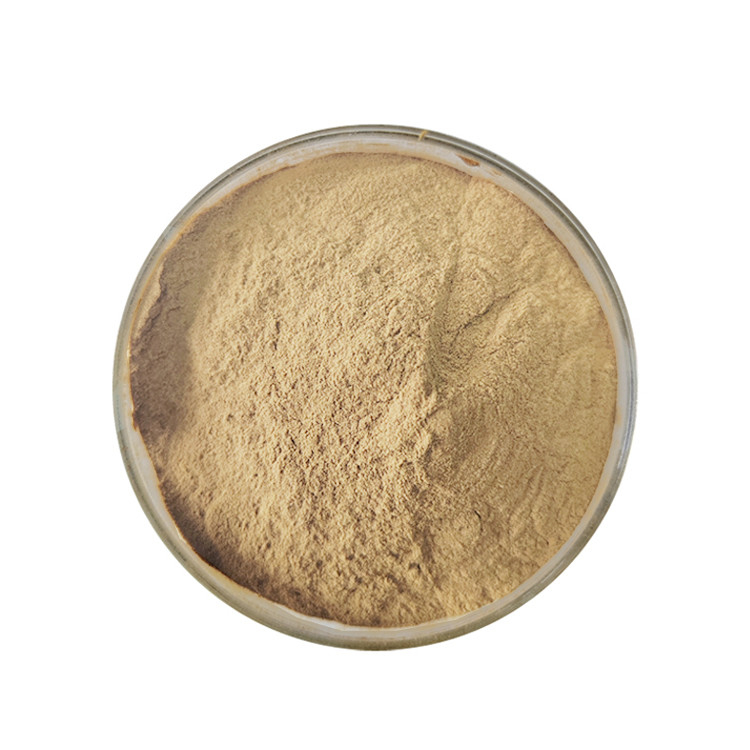 High-Quality Amino Acid Powder Nutritional Supplement with 80 Mesh Size 6% Max Moisture and 25CFU/g Max Yeast for Health Care