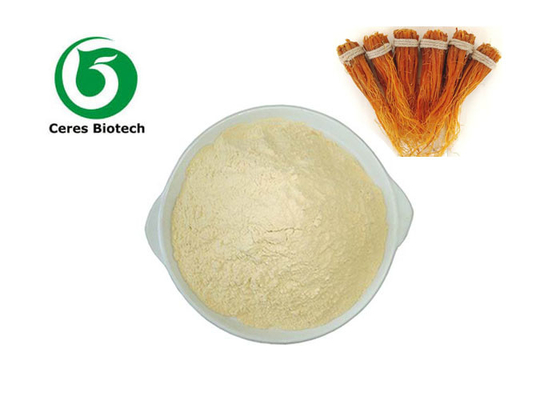 Poudre de ginseng d'extrait de racine de ginseng des produits 5%-80% de petit prix pour le ginseng