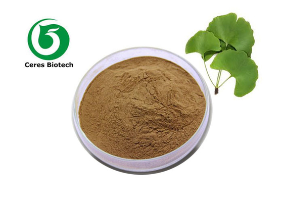 Poudre d' extrait de feuilles de Ginkgo Biloba avec 5 ppm d' acide ginkgolique.