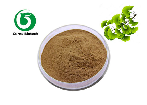 Poudre d'extrait du biloba 6% 24% d'extrait de Ginkgo Biloba de poudre d'extrait de feuille de Ginkgo d'usine d'approvisionnement