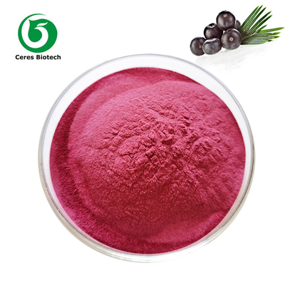 Catégorie comestible organique de 90% Acai Berry Extract Powder For Juice