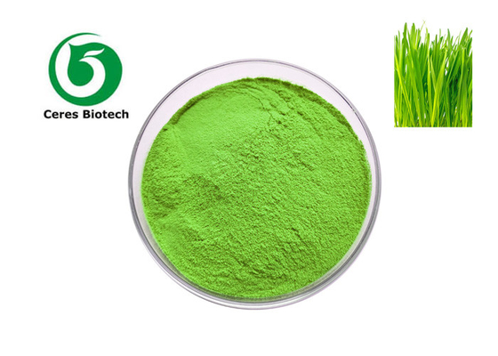 Poudre de fines herbes 100% pure organique végétale d'herbe d'orge pour la perte de poids