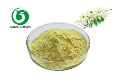 Le cognassier du Japon de fines herbes naturel de Sophora extrait la rutine pour anti-inflammatoire