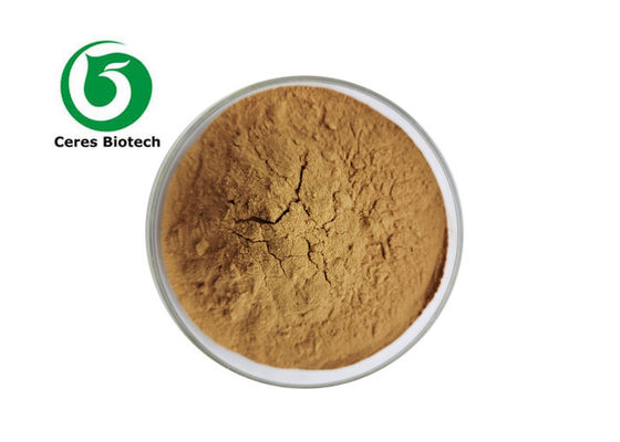 Complément alimentaire Extrait d'érable à sucre avec granulométrie 100% passant à travers un tamis de 80 mesh